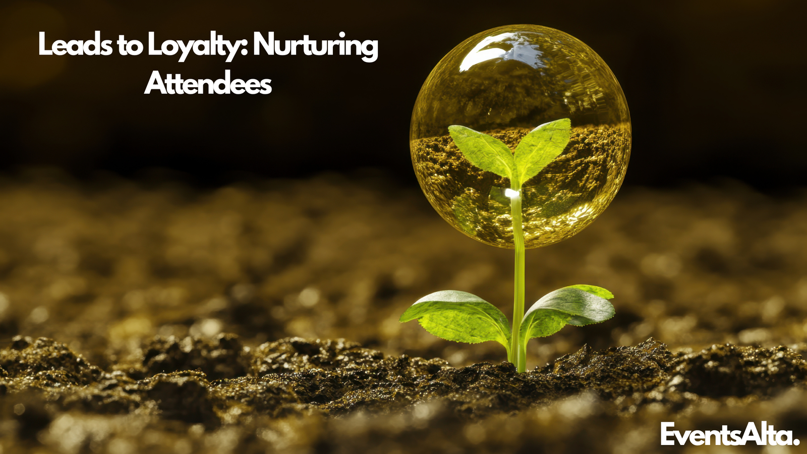 Post Event Nurtuting